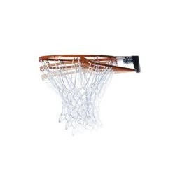 Lifetime 50" Adjustable In-Ground Basketball Hoop
