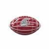 NCAA Washington State Cougars Field Mini-Size Glossy Football -Deals Sports Equipment Store unnamed file 191