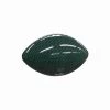 NCAA Charlotte 49ers Mini-Size Glossy Football -Deals Sports Equipment Store unnamed file 341