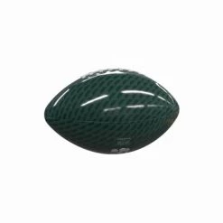 NCAA Charlotte 49ers Mini-Size Glossy Football