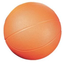 Champion Sports Coated Hi-Density Foam Basketball, Size 3